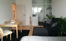 Nyborggade Apartment